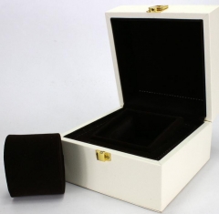 WATCH BOX Designer watch display case